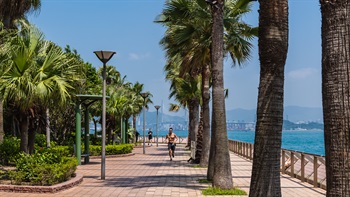 在海滨长廊慢跑，沿途不只有树木遮荫，亦能感受清凉的海风，观赏湛蓝的海港。
